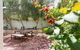 Soloman Street Cottage - thumb 1