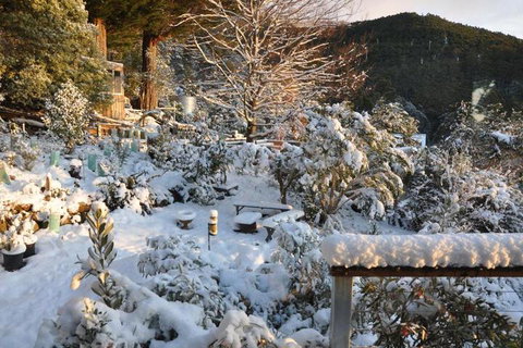 Pipeline Chalet Kunanyi Mt. Wellington - Accommodation Kalgoorlie 4