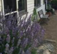Walnut Cottage - Accommodation Kalgoorlie