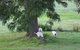 Nyora Lodge B & B - thumb 3