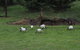 Nyora Lodge B & B - thumb 2