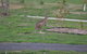 Nyora Lodge B & B - thumb 7