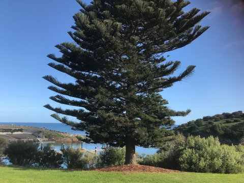 Penneshaw Oceanview Apartments - Accommodation Kalgoorlie 5