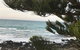 Penneshaw Oceanview Apartments - thumb 3