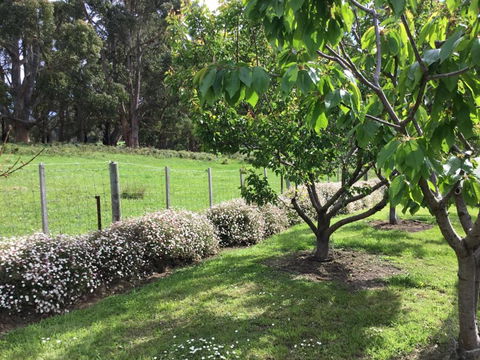 Nextdooratportarthur - Accommodation Kalgoorlie 1