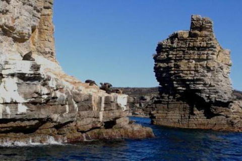 Summer Retreat At Callala Beach - Accommodation Kalgoorlie 7