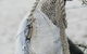 Salt At Shoal Bay - thumb 6