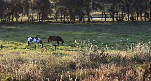 Labertouche Gypsy Creek Winery - Accommodation Kalgoorlie 3