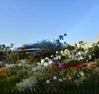 Labertouche Gypsy Creek Winery - Accommodation Kalgoorlie