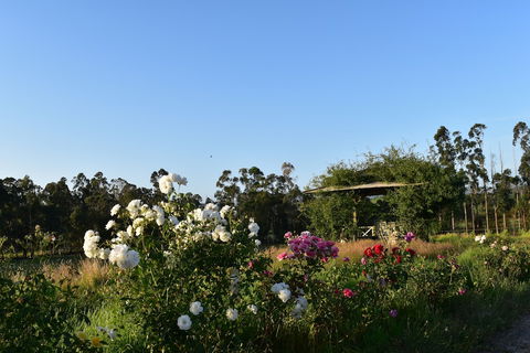 Labertouche Gypsy Creek Winery - Accommodation Kalgoorlie 0
