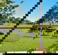 Curra Homestead Maleny - Accommodation Kalgoorlie