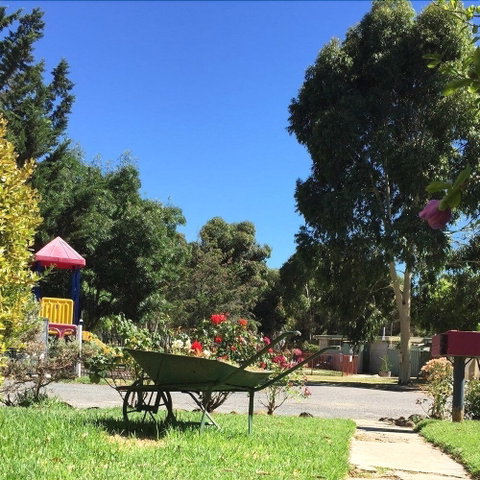 Acacia Caravan Park - Accommodation Kalgoorlie 6