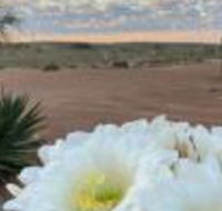 White Cliffs Underground Motel - Accommodation Kalgoorlie