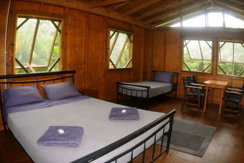 Daintree Rainforest Bungalows - Accommodation Kalgoorlie 4