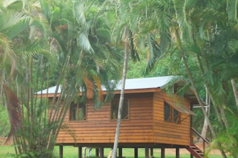 Daintree Rainforest Bungalows - Accommodation Kalgoorlie 0