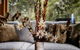 Southern Forest Accommodation - thumb 1