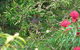 Southern Forest Accommodation - thumb 3