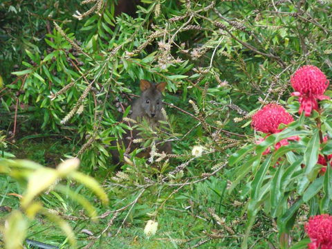 Southern Forest Accommodation - Accommodation Kalgoorlie 3