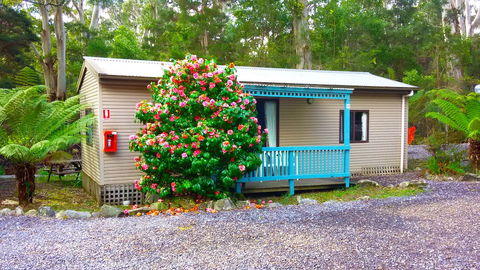 BIG4 Strahan Holiday Retreat - Accommodation Kalgoorlie 6