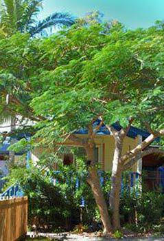 Ewingsdale NSW Accommodation Kalgoorlie