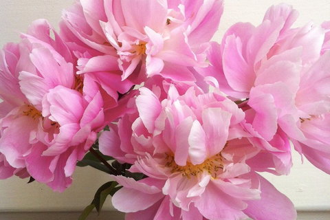 Cambridge House - Accommodation Kalgoorlie 6