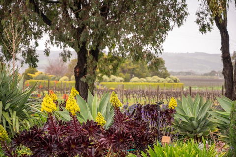 Linger Longer Vineyard Bed & Breakfast - Accommodation Kalgoorlie 2