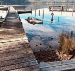 Salt Box Hideaway - Accommodation Kalgoorlie