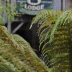 The Wombat Cottage - Accommodation Kalgoorlie 0