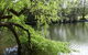 Lakeview On Sycamore - thumb 1