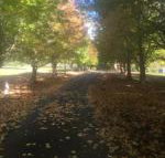 A peaceful cabin in the country - Accommodation Kalgoorlie