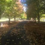 A Peaceful Cabin In The Country - Accommodation Kalgoorlie 0