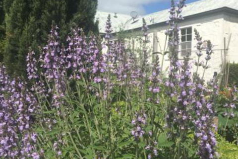 Petschel House - Accommodation Kalgoorlie 1