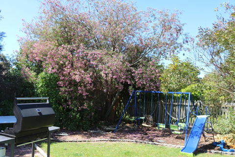 Sisters Beach Paradise - Accommodation Kalgoorlie 3
