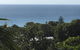 Cylinder Palms - thumb 5