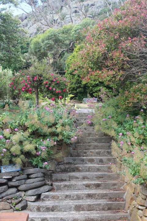 Gardenia House - Accommodation Kalgoorlie 2