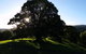 Valleydale Cottage - thumb 1