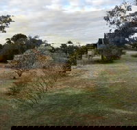 Young Budget Accommodation - Accommodation Kalgoorlie