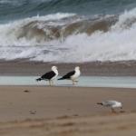 GALWAY COTTAGE - Accommodation Kalgoorlie 0