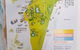Minjerribah Island Accommodation Straddie - thumb 6