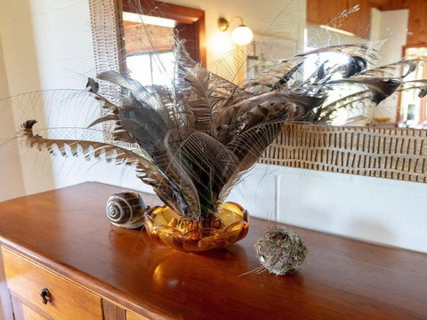 Captains Lookout Elevated Ocean Views Rural Stay - Accommodation Kalgoorlie 4