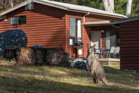 Wonderland Cottages - Accommodation Kalgoorlie 0