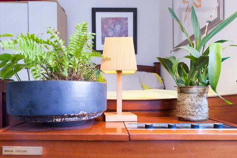 Beautiful Lush & Green Oasis Studio Apartment - Accommodation Kalgoorlie 6