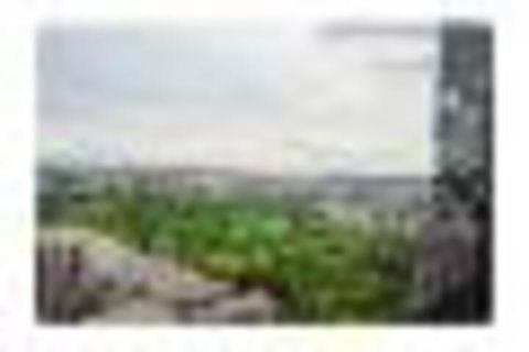 Cbd 2 Bed 1908 Apartment - Accommodation Kalgoorlie 4