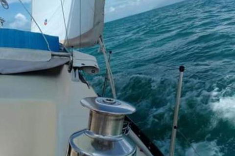 Casual Fare Sailing Charters Townsville Ocean Living Cruise - Accommodation Kalgoorlie 2