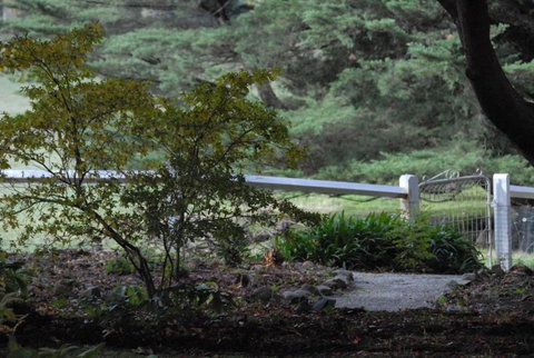 Toolebewang Farm Cottage - Accommodation Kalgoorlie 4