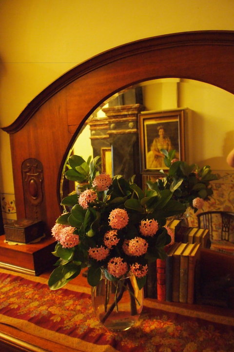 Vacy Hall Toowoomba's Grand Boutique Hotel - Accommodation Kalgoorlie 6