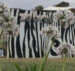 Zebras Guest House - Accommodation Kalgoorlie