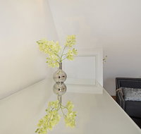 Pyrmont Harris Street Ifr - Accommodation Kalgoorlie