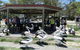 10 Intrepid 3 Intrepid Close Water Views Over Shoal Bay Beach - thumb 2