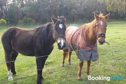 Heritage Bed & Breakfast - Accommodation Kalgoorlie 3
